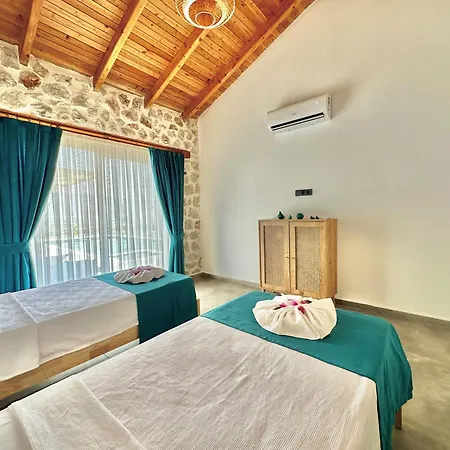 Likya Stone House Villa *