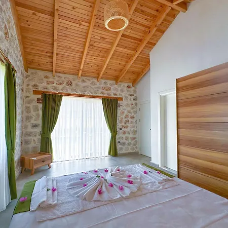 别墅 Likya Stone House 费特希耶